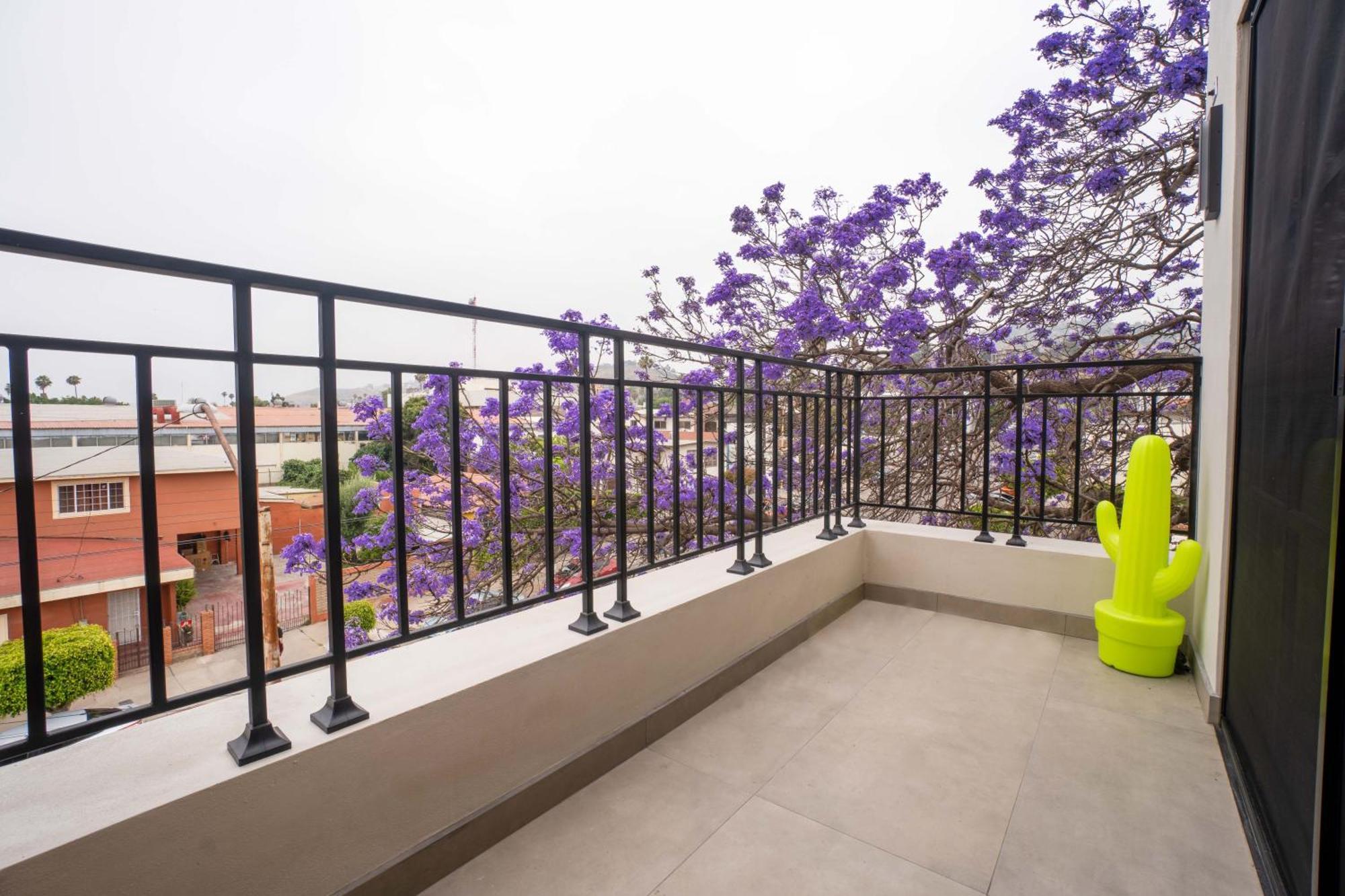 אנסנאדה Suites Miramar14 מראה חיצוני תמונה